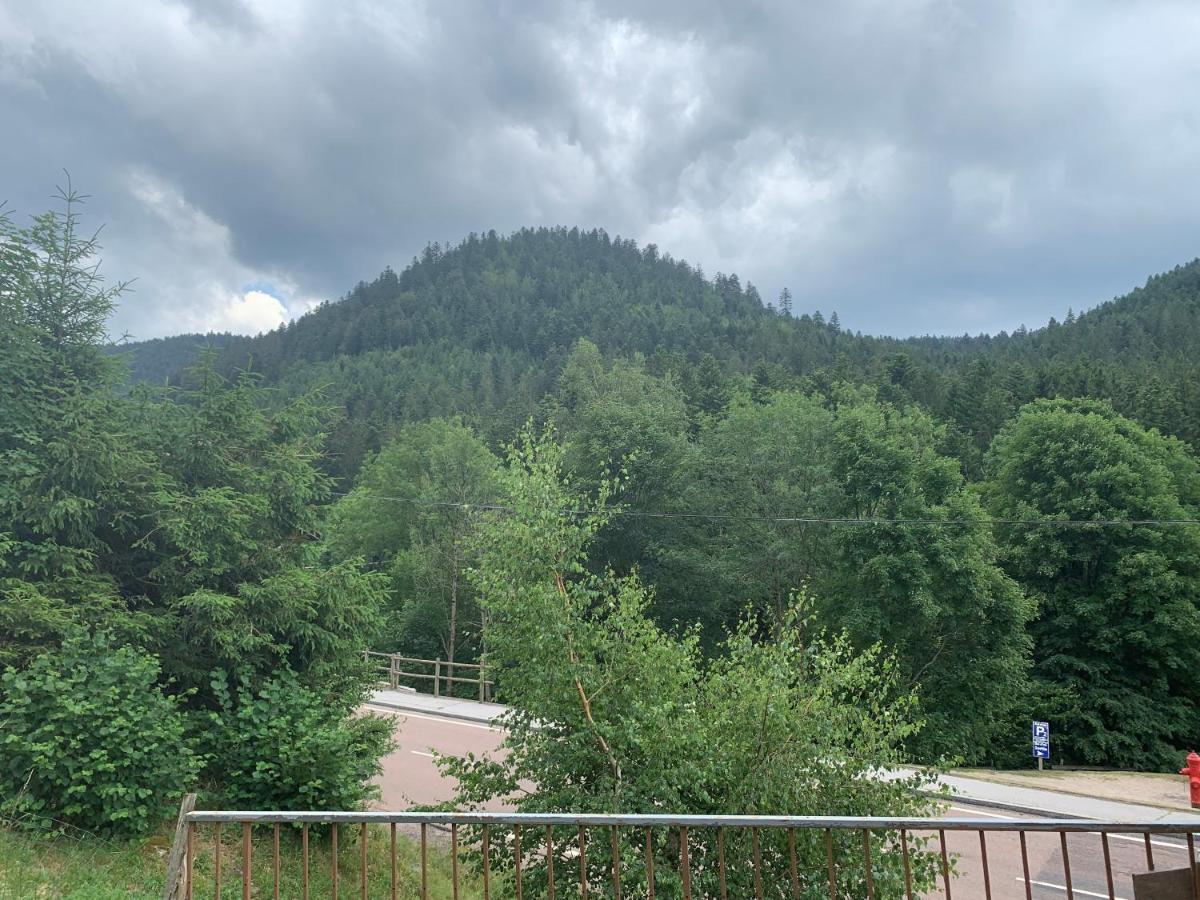 Gite De L'Ours Ла-Бресс Экстерьер фото