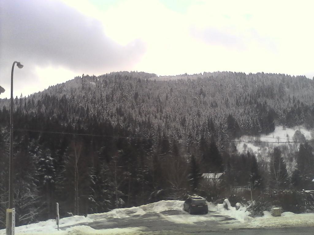 Gite De L'Ours Ла-Бресс Экстерьер фото