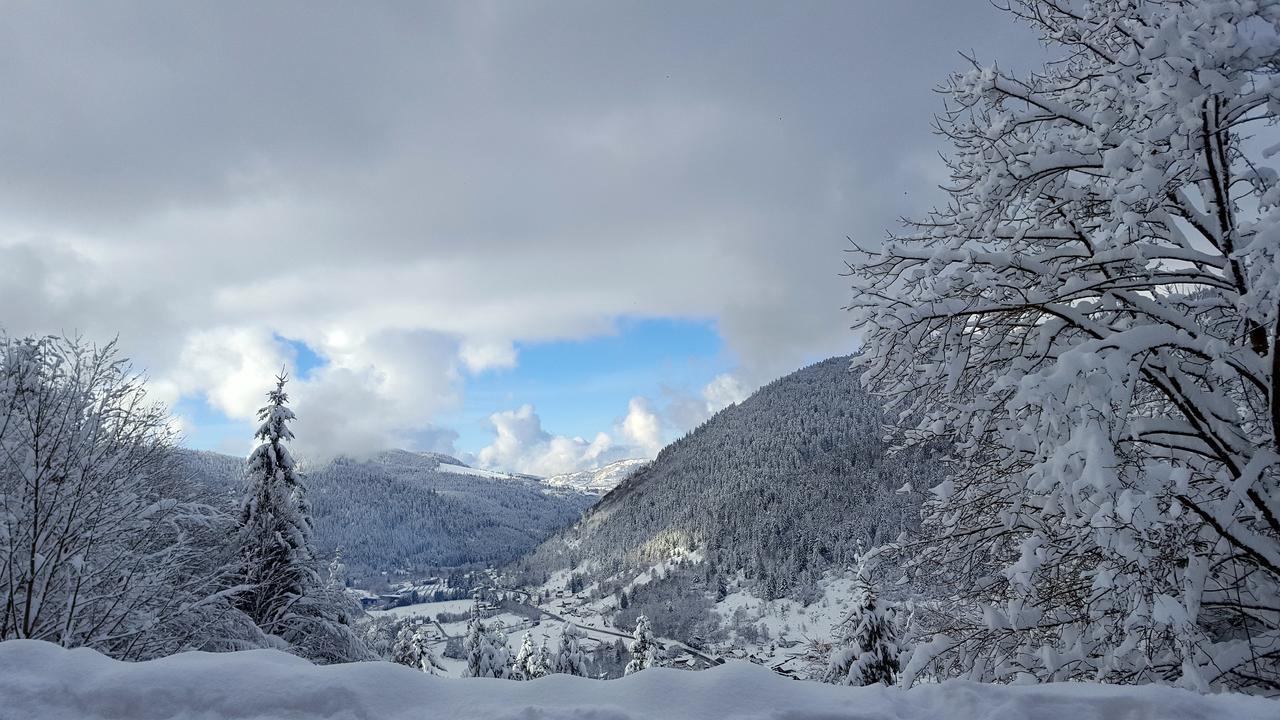 Gite De L'Ours Ла-Бресс Экстерьер фото